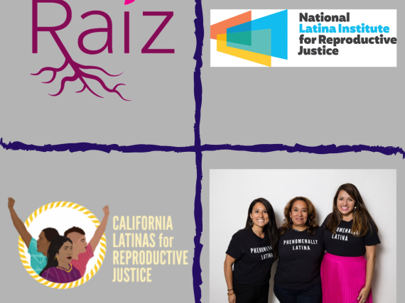 Logos and photos from four Latinx groups fighting for reproductive health. 